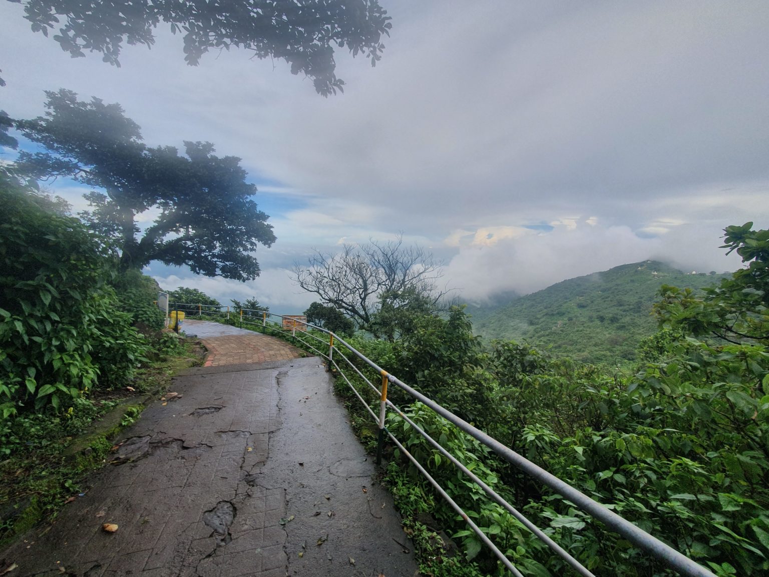 Parasnath mountain side